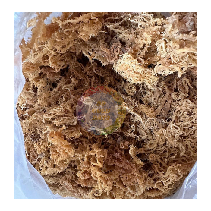 Sustainably Harvested Eucheuma Cottonii Seaweed Wholesale - Ideal for Carrageenan Extraction and Vegan Recipes