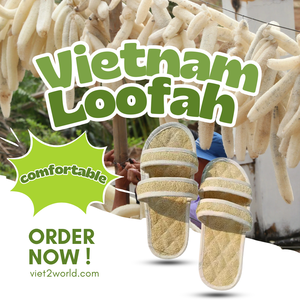 Hogar interior inspirado en la naturaleza vietnamita para zapatillas con diseño de lufa con correa cruzada - Product Image 1