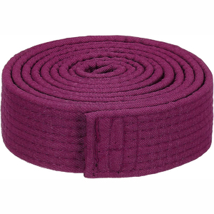Nouveau 2025 meilleur design ceinture de karaté en coton de qualité supérieure pas cher prix Jiu-Jitsu Judo ceintures d'arts martiaux - Product Image 6