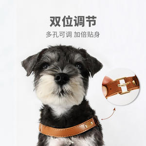 Set Harness dan Tali Kucing untuk Berjalan Anti Lepas, Harness Anak Kucing yang Dapat Disesuaikan dengan Jaring Bernapas dan Strip Reflektif - Product Image 4