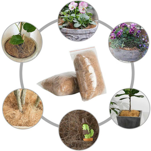 Offre Spéciale 2025!!! Fibre de coco naturelle/prix de fibre de coco/acheteur de fibre de coco au Vietnam - Product Image 4