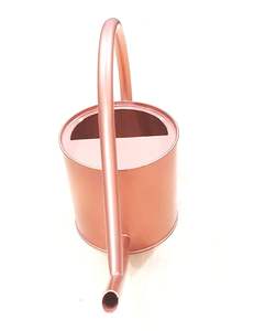 Regadera de Hierro para Plantas, Regadera de Metal con Acabado de Cobre para Interiores y Exteriores, Regadera para Jardinería en el Hogar - Product Image 1