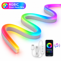 Bande lumineuse LED néon 5M (16,4FT) RGBIC intelligente avec synchronisation musicale via application, alimentation USB pour chambre, salle de jeux, rétroéclairage TV