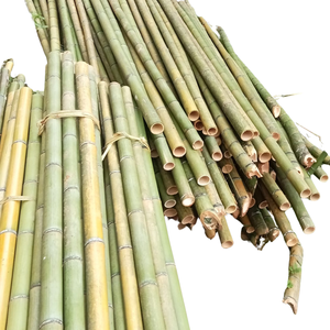 Cannes en bambou traitées pour les meubles faits à la main et l'artisanat d'art en bambou - Product Image 5