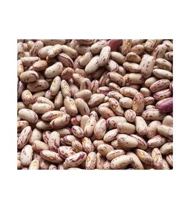 ถั่วไตคุณภาพเยี่ยมที่เสนอโดยซัพพลายเออร์ที่มีตัวเลือกการจัดส่งที่ตรงเวลาและมีคุณภาพที่สม่ำเสมอ - Product Image 2