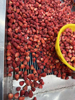 Bulk Iqf Bevroren Aardbei Voor Het Maken Van Jam En Het Vullen Van Gebak Verwerkt In Vietnam Hot Selling