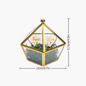 Boîte à bagues à bijoux de forme géométrique de style chic avec cadre en or polonais parfait pour ranger les colliers de bagues et les accessoires fins - Product Image 5