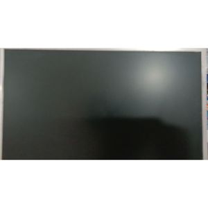 Pannello schermo LCD M101NWT2