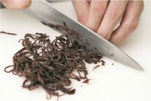 Champignon à oreilles de bois, livraison rapide, en vrac, ANGLE Ms - Product Image 4