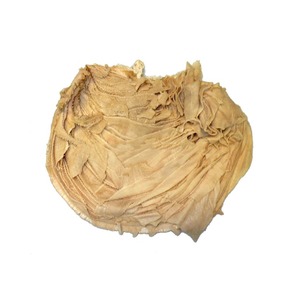 เนื้อ omasum ที่มีจำหน่ายสำหรับขายส่งเนื้อเหมาะสำหรับตัวแทนจำหน่ายเนื้อและขายส่ง - Product Image 1