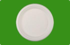 Assiettes jetables rondes en bagasse de 6 pouces, écologiques et de qualité supérieure, pour le camping - Product Image 5
