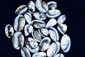 Unique Naturel Dendrite Opale Pierres Précieuses En Vrac Motif Arbre Pierre Cabochon Mélange Forme Compétitif En Vrac Bijoux Prix - Product Image 3