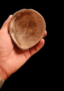 ชามกะลามะพร้าวรูปไข่2025สำหรับไอศกรีมขนมหวานจากเวียดนาม - Product Image 5