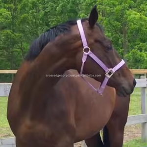 อานม้าหนังแบบตะวันตกเชือกแขวนคอแบบเต็มออกแบบโลโก้ได้ตามต้องการ - Product Image 4