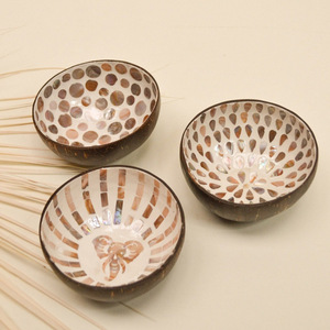 La mejor oferta, cuencos de coco lacados, el precio más barato, cuenco de cáscara de coco lacado del proveedor líder - Product Image 6