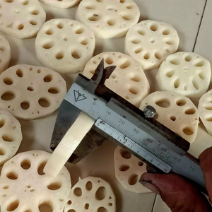 Raíces de Loto Frescas de Vietnam Directamente de la Granja, Vegetales Naturales Limpios para la Industria Alimentaria - Product Image 5