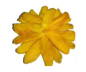 Mango seco de Vietnam Premium, bocadillo tropical dulce natural perfecto para los amantes de la fruta y el mercado de exportación - Product Image 1