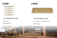 Parquet en chêne européen d'ingénierie pour hôtels, finition UV, vente en gros