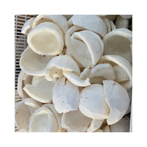 Frozen Coconut Meal From Vietnam In Bulk Packaging For Wholesale And B2B <b>Food</b> Industry Use - Product Image 1
