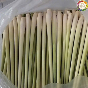 Hierba Limón Fresca de Vietnam, Material de Cosecha Limpia, Apta para Mezclas Alimentarias e Ingredientes Culinarios Diarios - Product Image 1