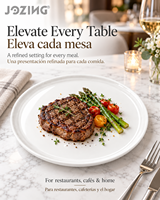 Assiette à steak en céramique blanche JOZING de 10,8 pouces, plat rond pour dîner, liquidation directe d'usine, porcelaine pour restaurant