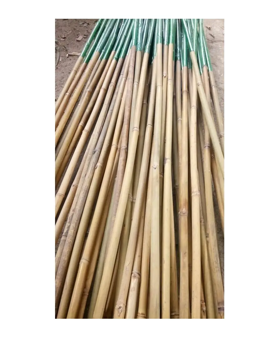 Bambu direkleri doğal kuru düz çit veya inşaat yapmak için bambu çubuk veya Viet yapılan tarım kullanılan