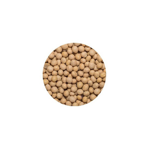 Frijoles de Soja Amarillos A LA Venta, Frijoles de Soja para las mejores tarifas del mercado - Product Image 5
