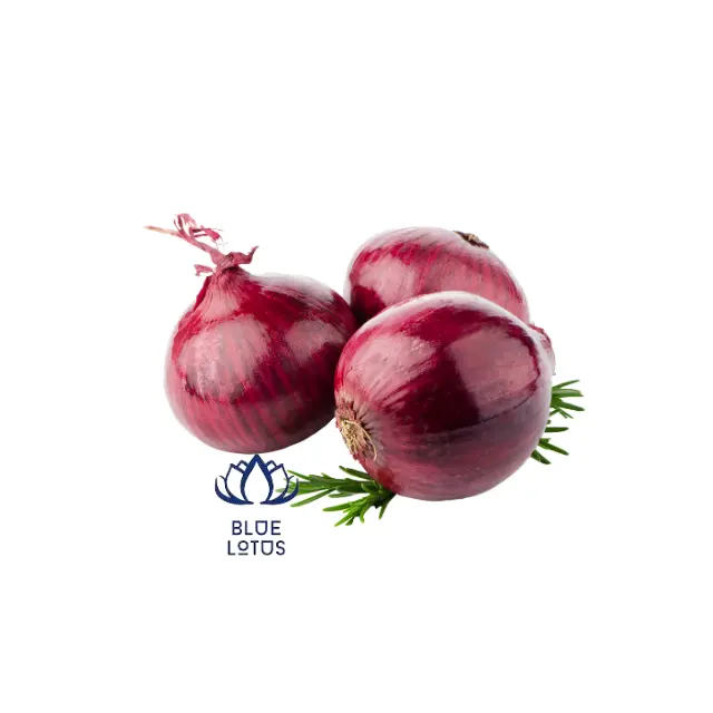 RED ONION VEGETABLES FROM VIETNAM Red Crop Time Newest High Quality Top Selling 2023 Ms Heidi +84 961066080
