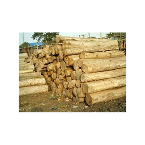 Troncos de madera de eucalipto Natural más vendidos, diversos tipos, incluyendo madera de pino de roble, teca, patrón redondo, abedul, haya, cereza