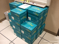 Papel de Copia Premium PaperOne A4 80gsm para Impresión, Opciones de 70gsm y 75gsm Disponibles