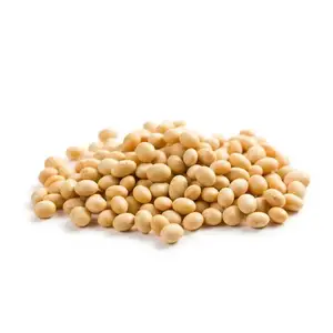 Soja Graine de soja sèche jaune sans OGM de haute qualité NON-GMO soja