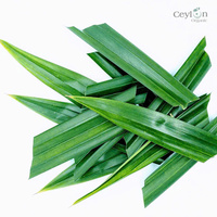 [100% Biologique] L'essence du Pandan : Dévoiler ses saveurs aromatiques