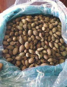 Ms psophilie — écrou malva séché de meilleure qualité, livraison rapide - Product Image 2