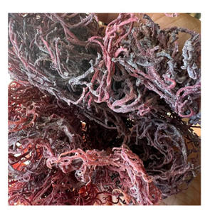 [Viet Nam Product] White/Golden/Purple <b>Sea</b> <b>Moss</b> With Competitive Price/Top Quality 100% <b>Raw</b> <b>Sea</b> <b>Moss</b> From Vietnam - Product Image 4