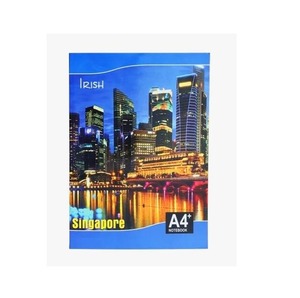 Carnet exécutif irlandais professionnel de qualité supérieure pour les études professionnelles et la planification organisationnelle, disponible à un bon prix - Product Image 2