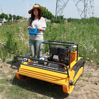 Robot Pemotong Rumput Remote Control Eropa, Murah, Efisiensi Pemotongan Tinggi untuk Rumput Rumah