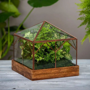 Terrario de vidrio transparente de diseño impresionante para mesa suculenta hogar y oficina decorar planta decorar en acabado negro - Product Image 5