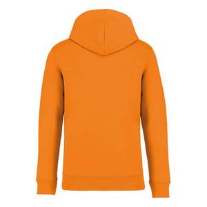 Sweats à capuche unisexes de haute qualité pour hommes Printemps Couleur unie Offre Spéciale de sport Sweat-shirt décontracté Poids lourd - Product Image 6