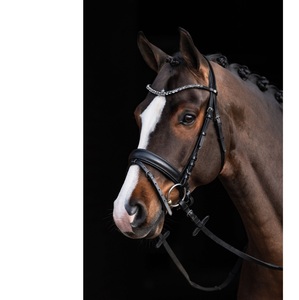 Brida de cuero - Product Image 6