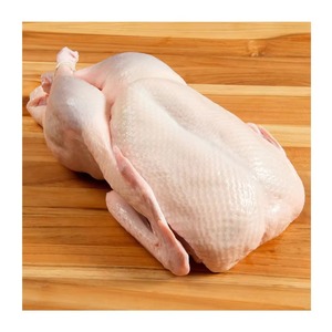 Pato fresco congelado directo del proveedor Pato congelado cuidadosamente preparado para mantener el sabor natural y la nutrición - Product Image 6