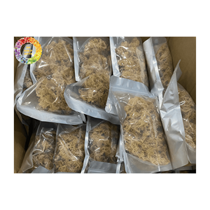 Premium Unsalted <b>Dried</b> Sea <b>Moss</b> Seaweed, Golden Irish <b>Moss</b> for Seamoss Gel, 25kg Bulk Packing, Wildcrafted Chondrus Crispus - Product Image 1