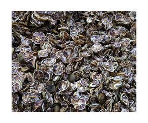 ชาผลไม้มะนาวอบแห้งไม่มีน้ำตาลออร์แกนิกจากธรรมชาติ - Product Image 4