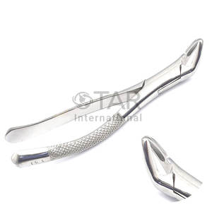 Instrumento Dental Premium 151 # Fórceps de extracción de dientes de acero inoxidable Incisivos inferiores Raíces Caninos - Product Image 1