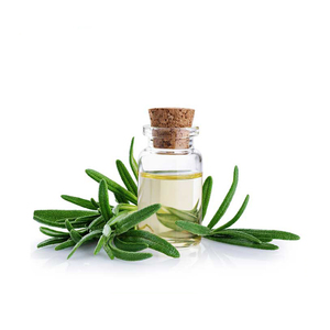 2022 Manufacturer Organic Therapeutic Grade 100% Natural Rosemary Essential Oil for Hair Growth - Product Image 2