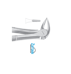 Pince d'extraction en acier inoxydable de haute qualité racines inférieures fig. Exportateurs et fabricant 33L - Product Image 3