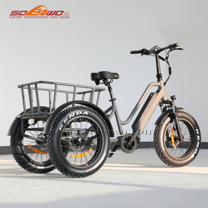 Tricycle de vélo cargo <span class=keywords><strong>électrique</strong></span> à 3 roues à entraînement central, 1000w, gros pneu, avec différentiel - Product Image 2