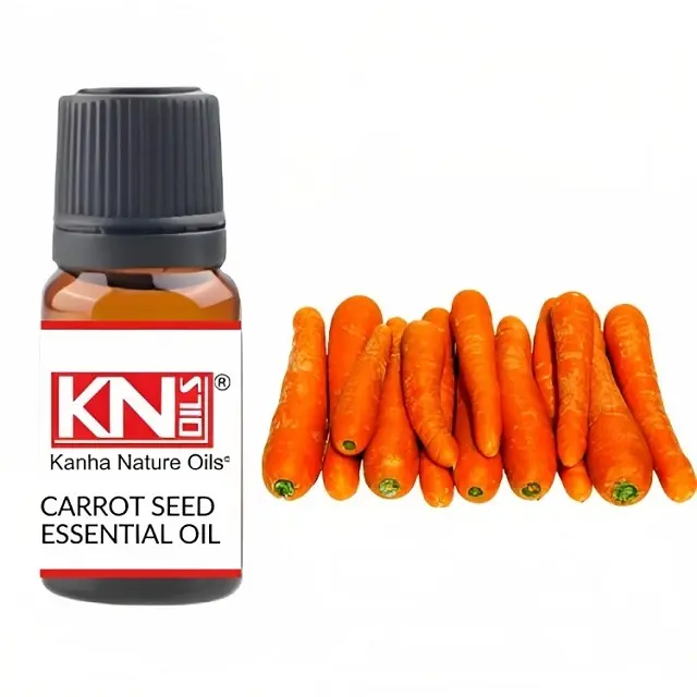 Carrot Seed Essential Oil Used In Aromatherapy With High Quality In Whole Sale Price Manufacturing In India