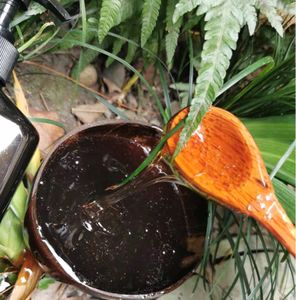 KAIYANGE天然中国薬ヘアリペアヘアケアハーブarborvitae葉石鹸ベリーサポニンOEM薬パッケージ - Product Image 4