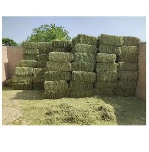 Heno de Alfalfa Seco Premium en Pacas para Ganado y Caballos, Grado A, Origen Estadounidense, Humedad 0.2% - Product Image 2