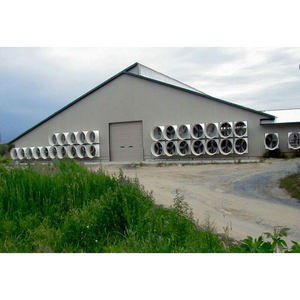 Chine prêt à l'emploi prépoutres i colonne construction volaille légère bâtiment de poulet - Product Image 6